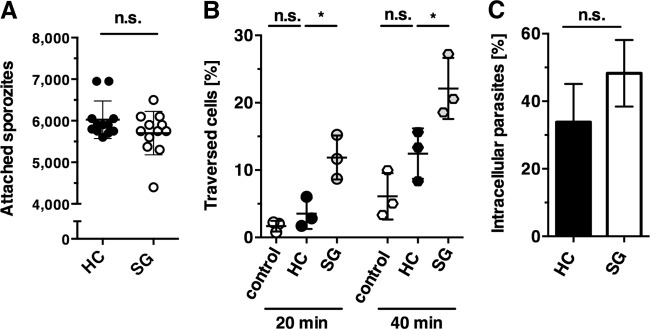 FIG 1