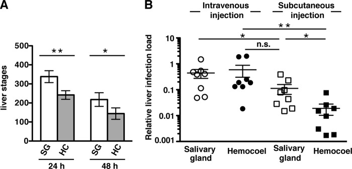 FIG 2