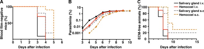 FIG 3