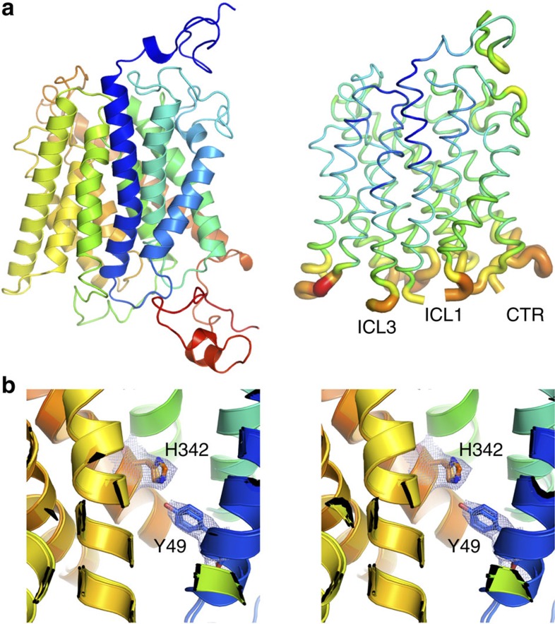 Figure 7