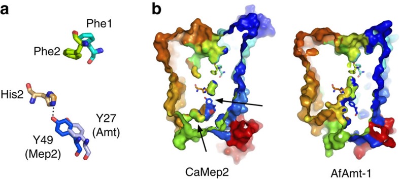 Figure 5