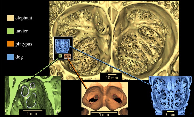 Figure 4.