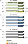 Fig 3