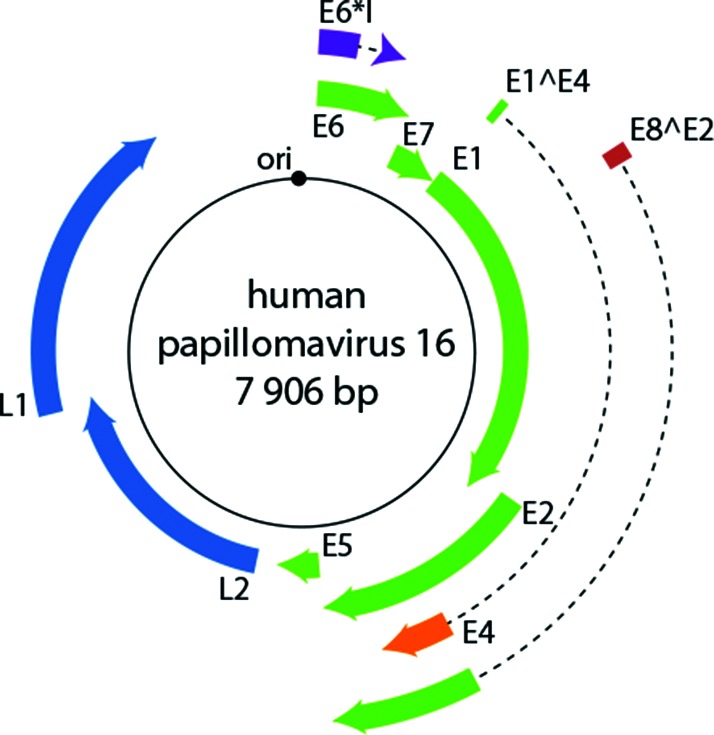 Fig. 2.