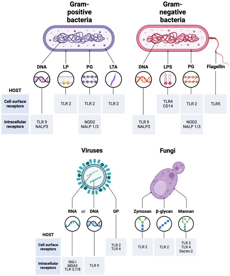 Figure 1