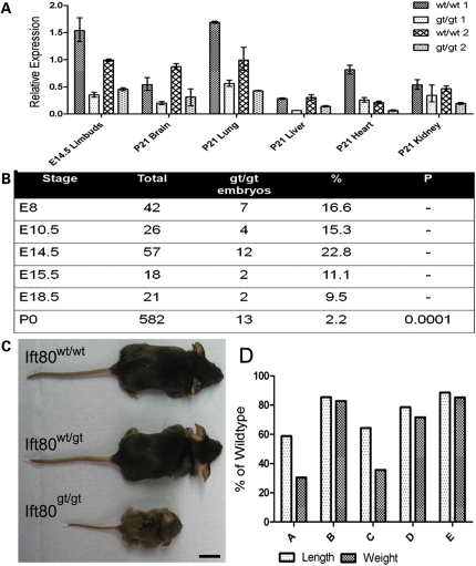 Figure 2.