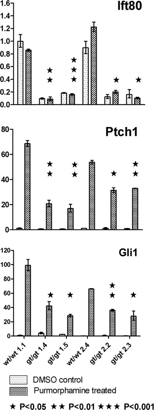 Figure 4.