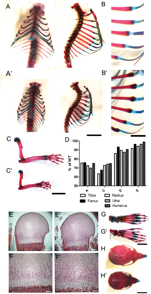 Figure 3.