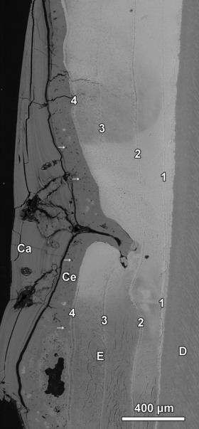 Fig. 6