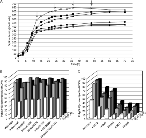 FIG. 2.