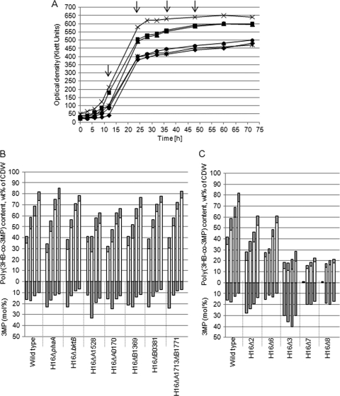 FIG. 3.