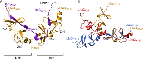 FIGURE 4.