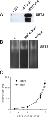 Fig. 6.