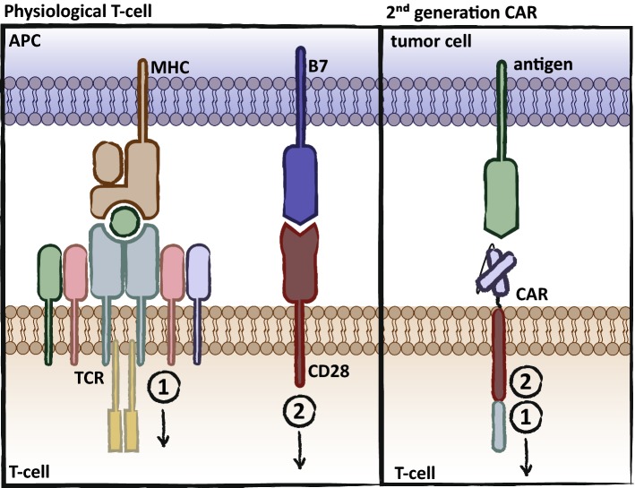 Fig. 2