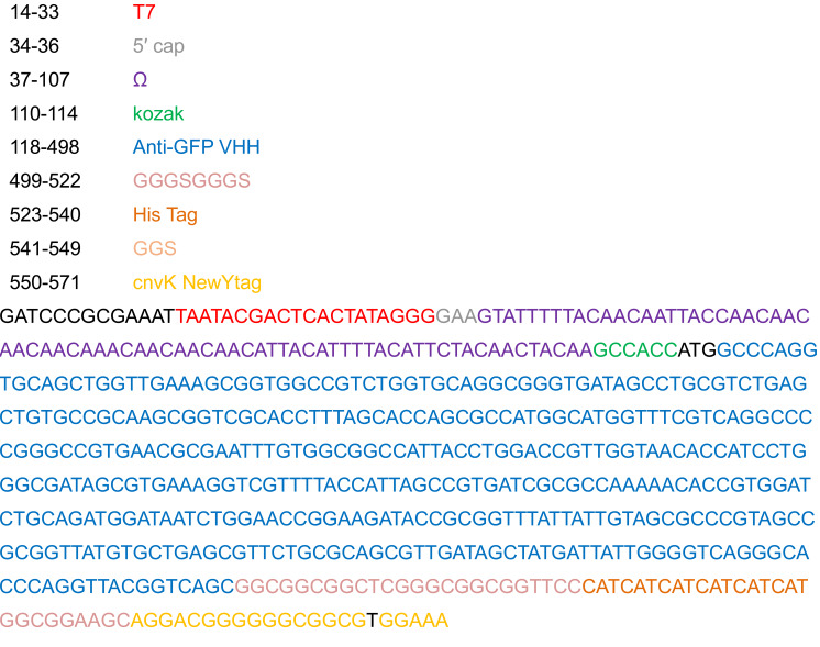 graphic file with name BioProtoc-9-24-3457-i001.jpg