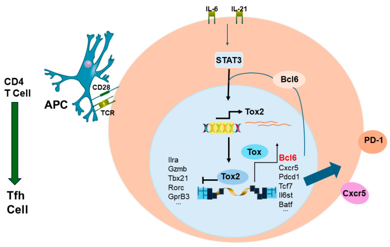 Figure 6