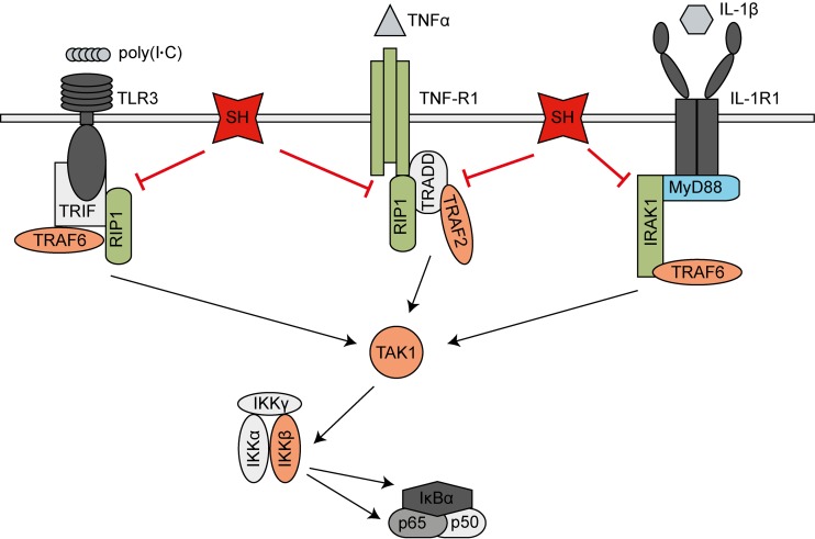 FIG 7