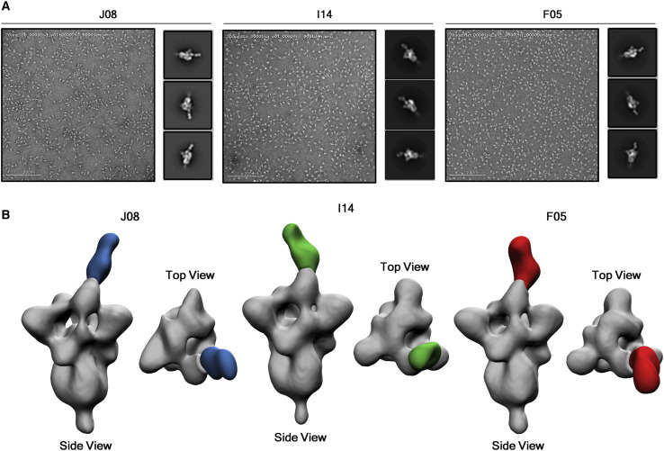 Figure 6