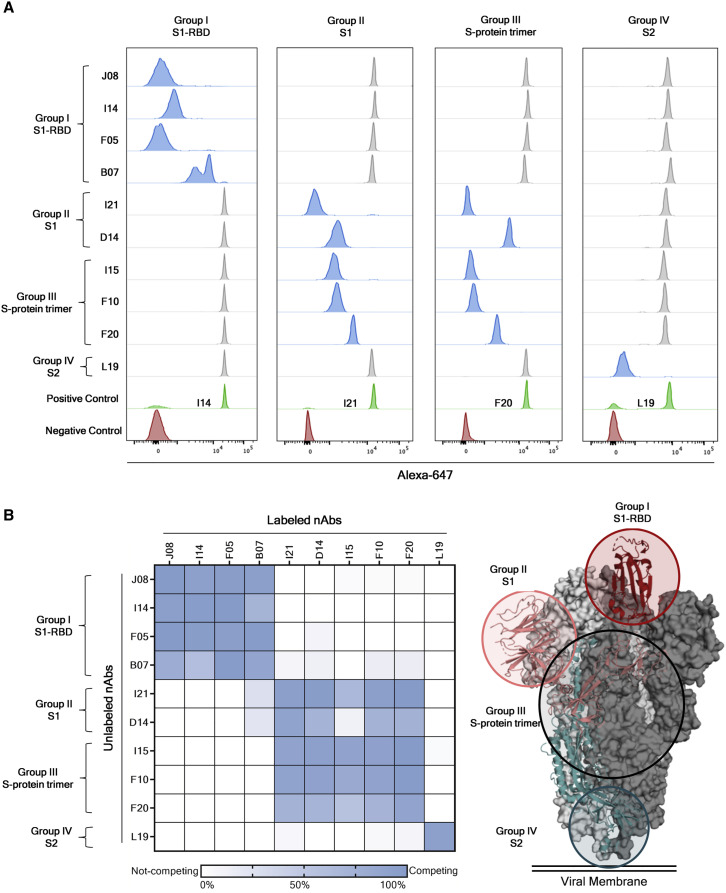 Figure 4