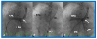 Figure 29