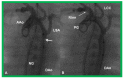 Figure 23