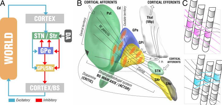 Fig. 1.