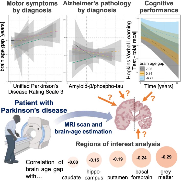 Graphical Abstract