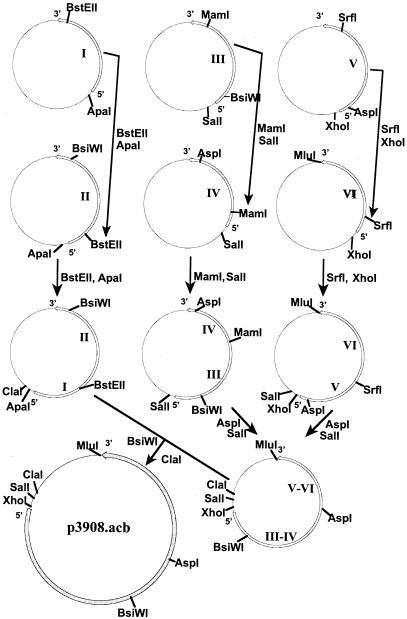 FIG. 3.