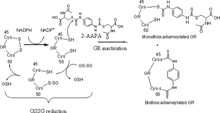 FIGURE 11.