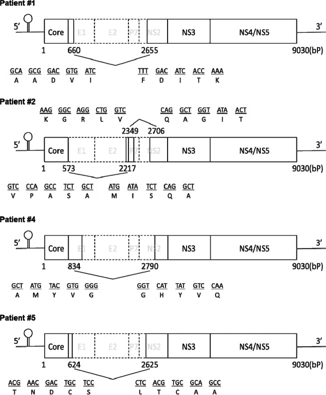 Fig 4