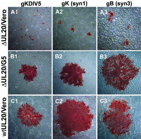 FIG. 3.