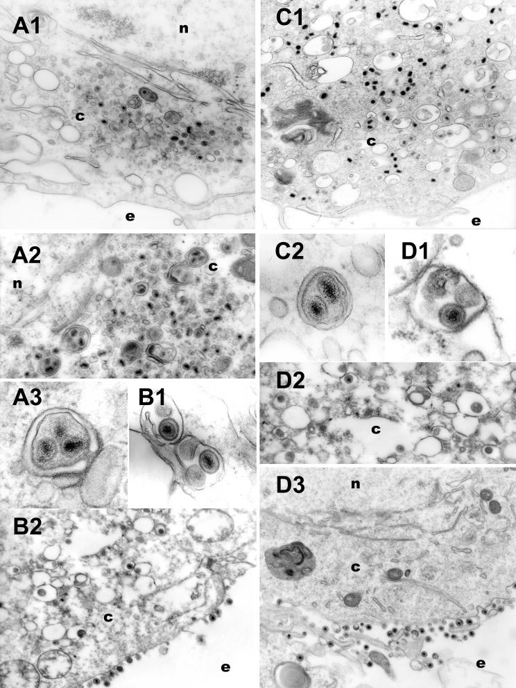 FIG. 7.