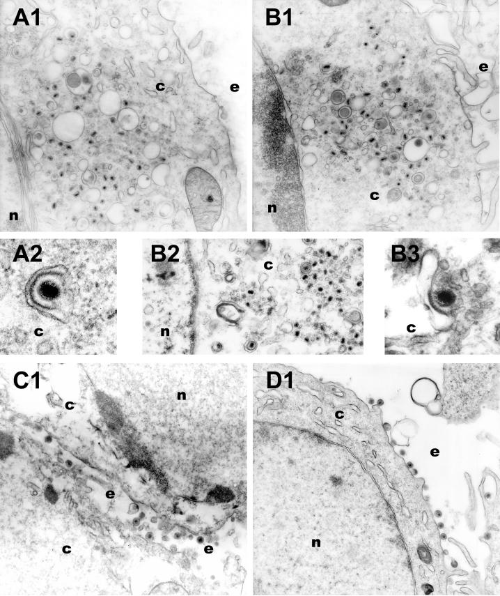 FIG. 6.