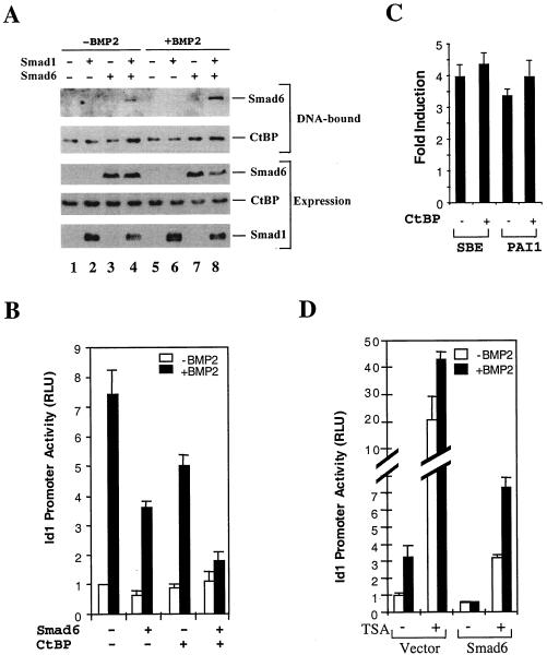 FIG. 7.