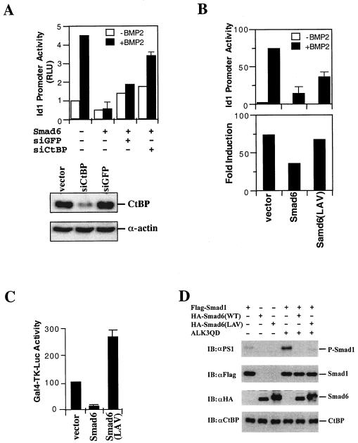 FIG. 8.