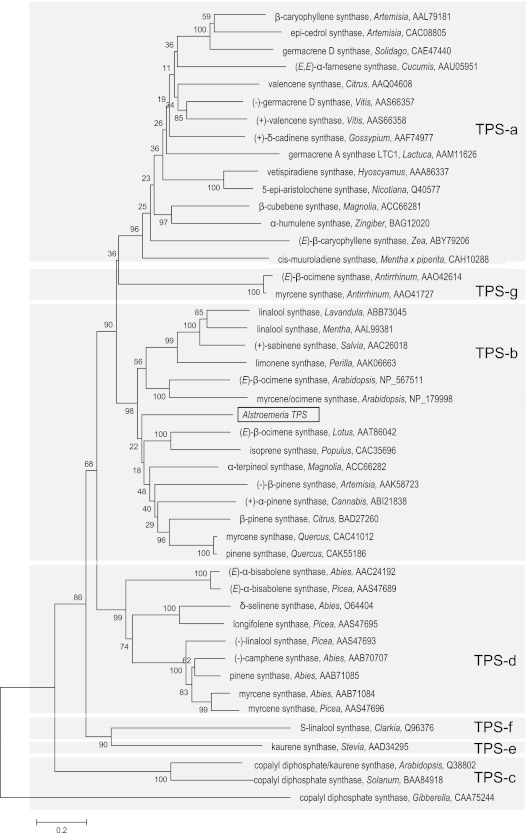 Fig. 3.