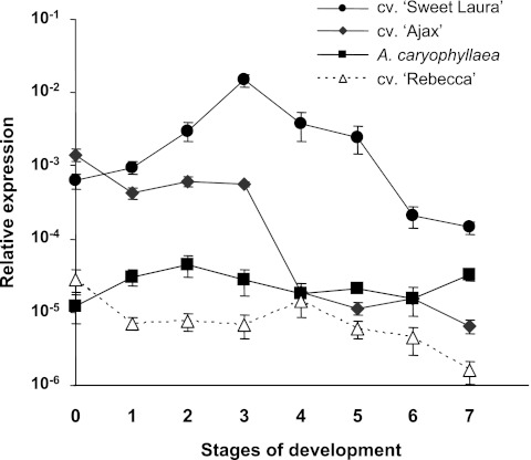 Fig. 6.