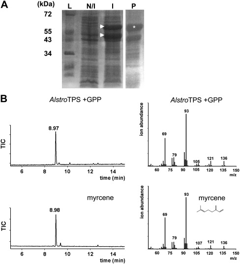 Fig. 8.