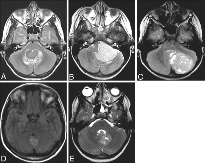 Fig 1.