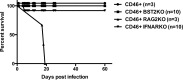 FIG 6