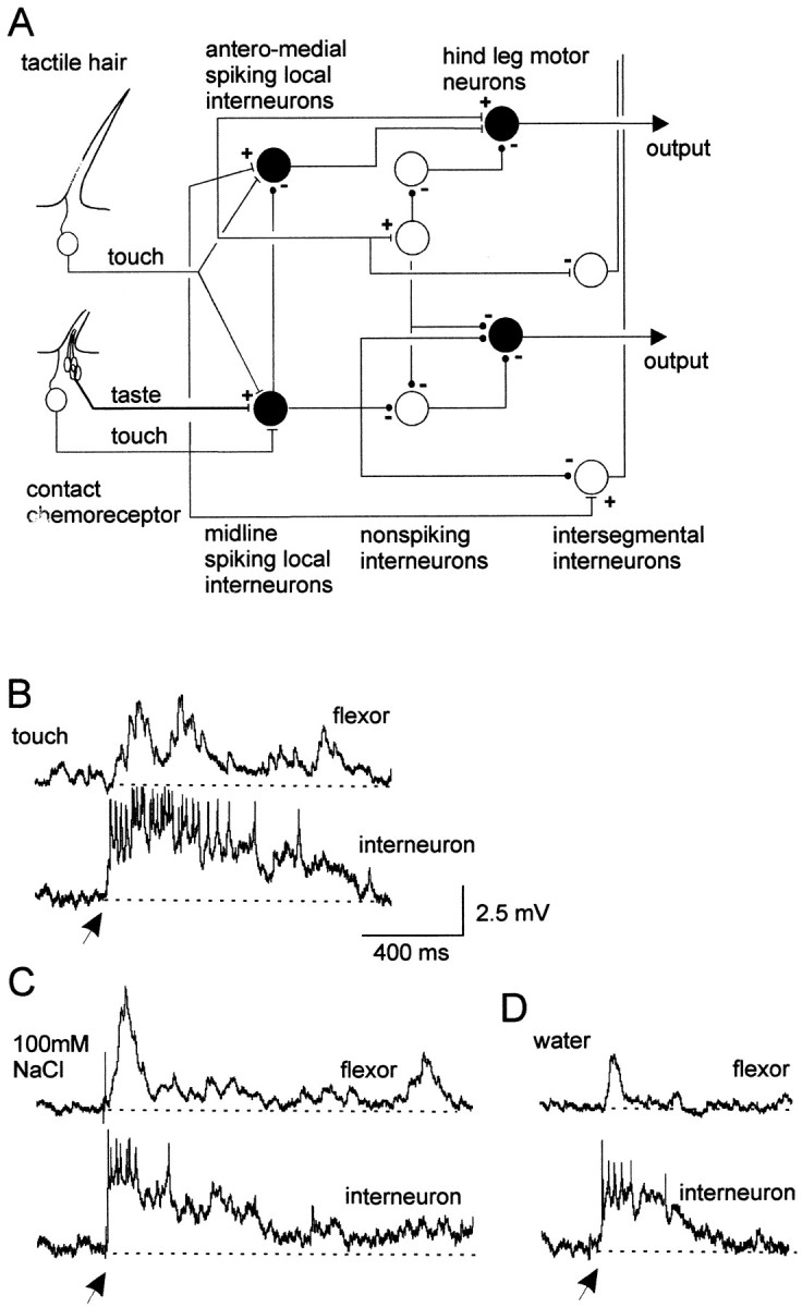 Fig. 1.