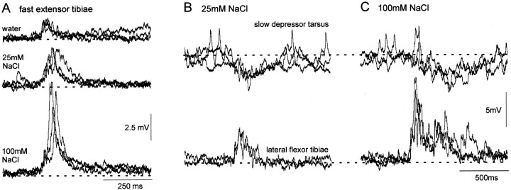 Fig. 10.