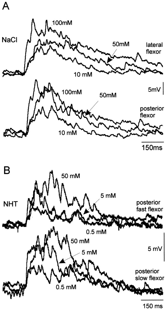 Fig. 9.