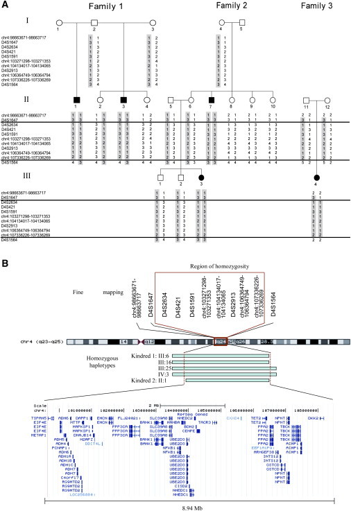 Figure 3