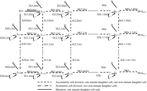 Fig. 3