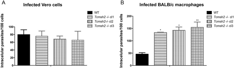 Fig 4