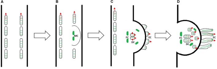 FIGURE 10