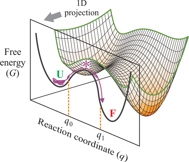 Fig. 1.