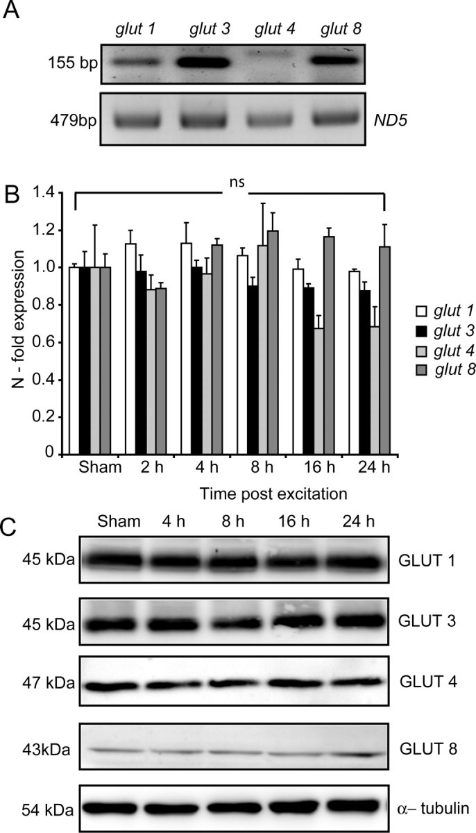 Figure 3.