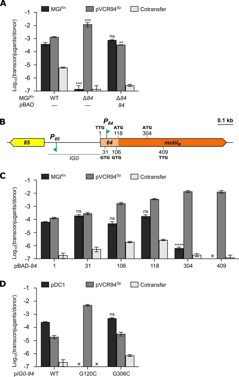 FIG 2